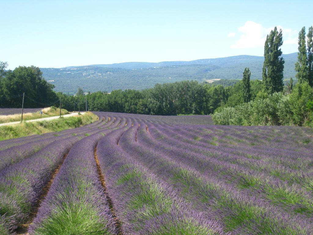 Le Refuge Bed & Breakfast Mornas Bagian luar foto